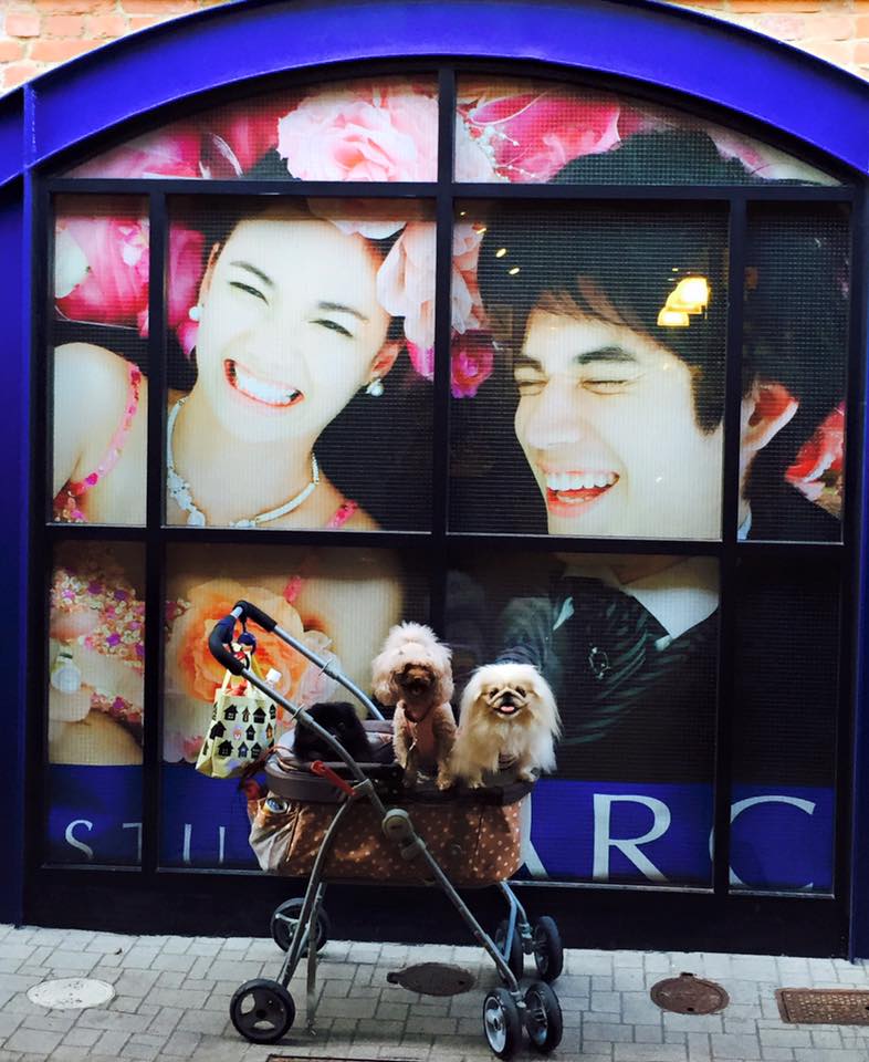 ちょっと寄り道、神戸煉瓦倉庫店