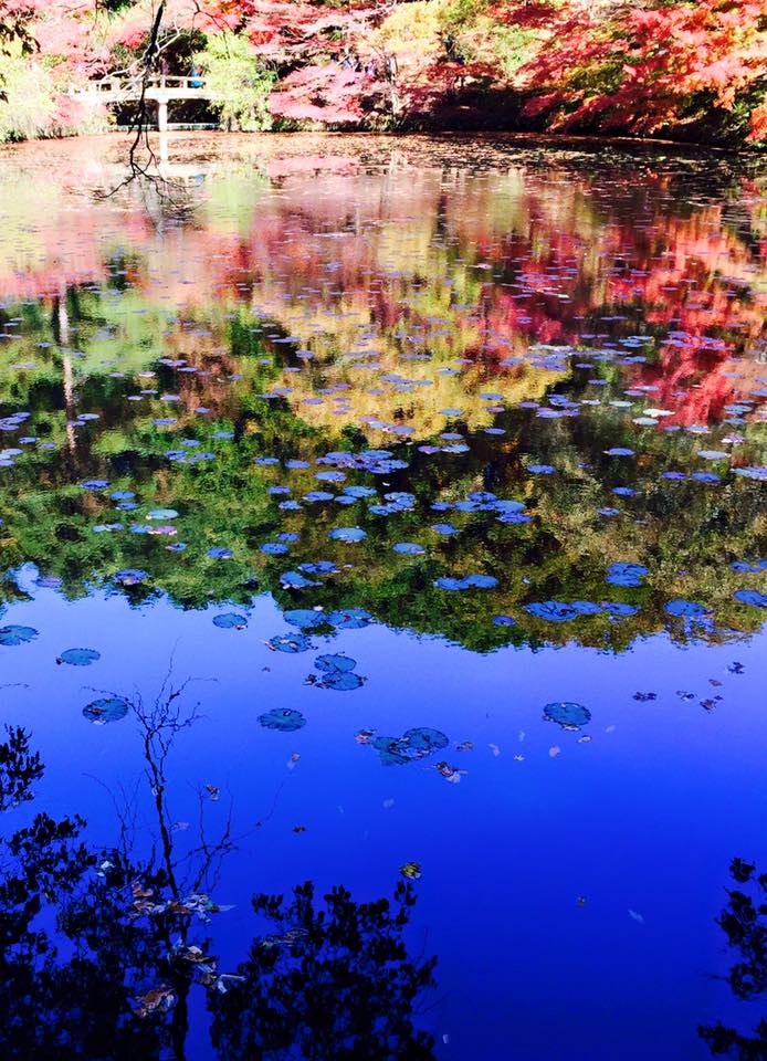 神戸森林植物園