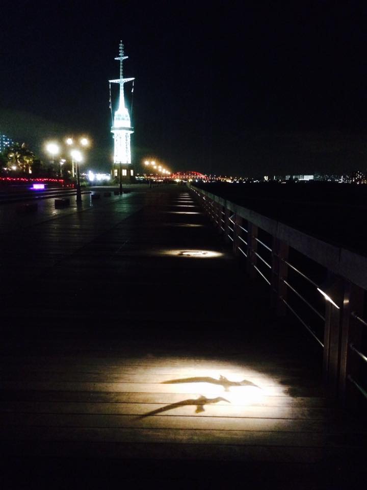 神戸煉瓦倉庫店 アニバーサリー記念