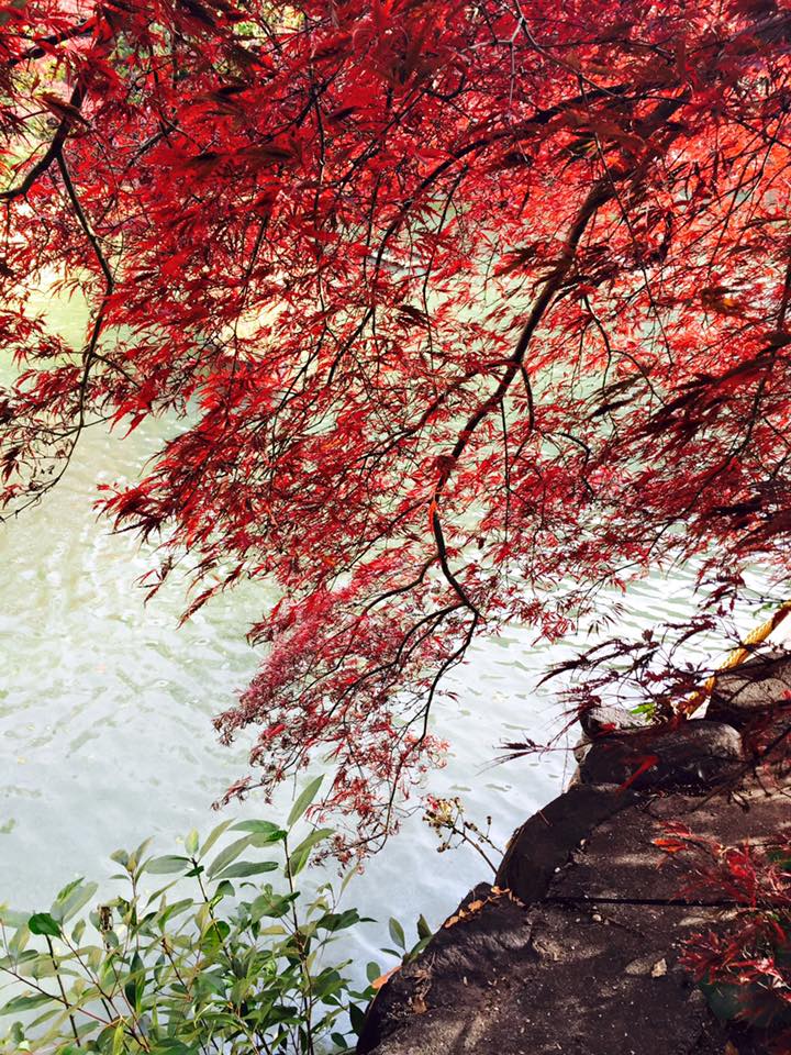 生田オレンジのグラデーション