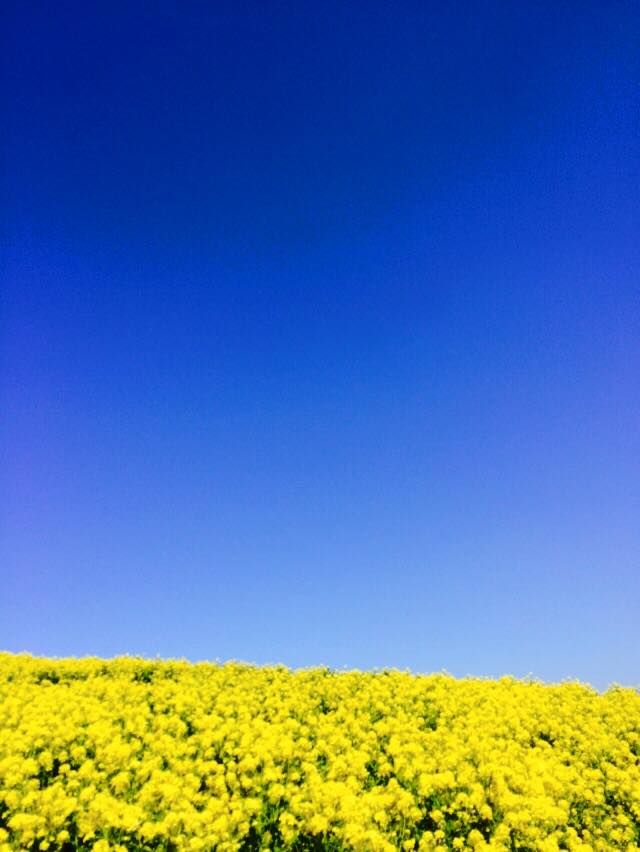 快晴の淡路島にて