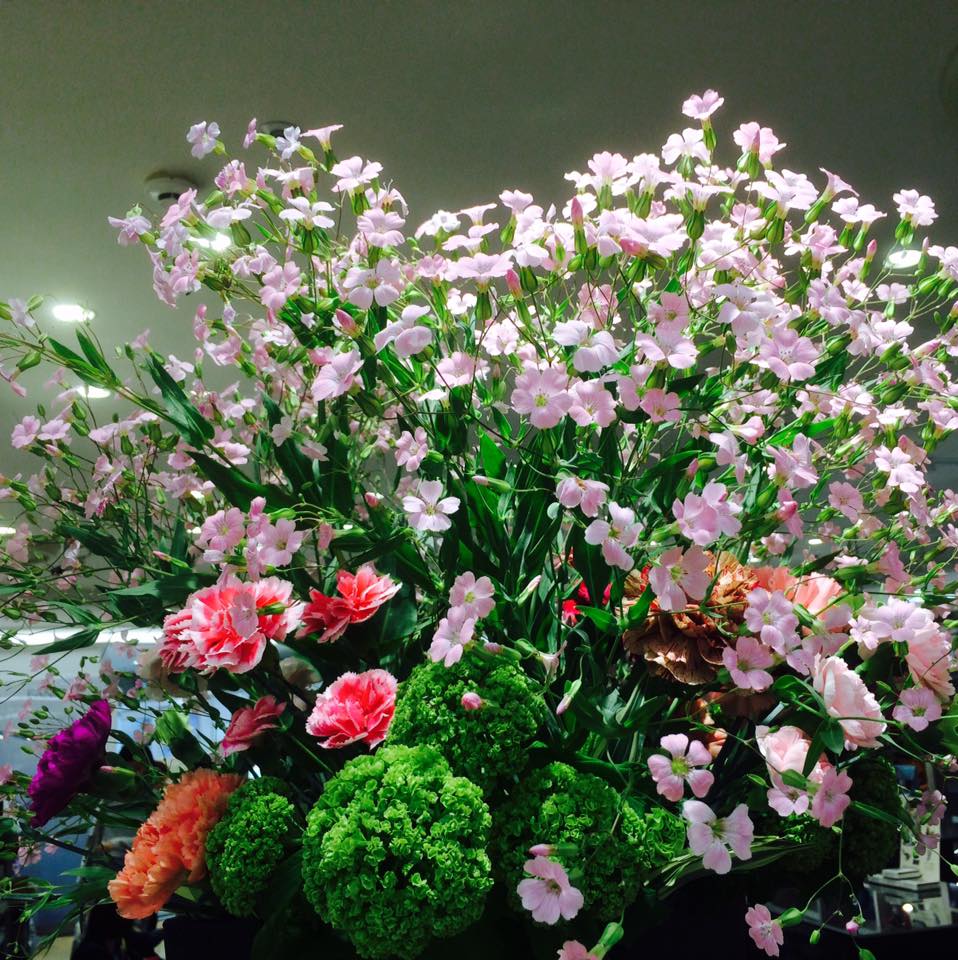 バッカリア&カーネーション満開