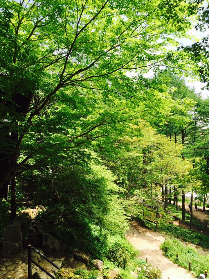 温かいメッセージに感謝