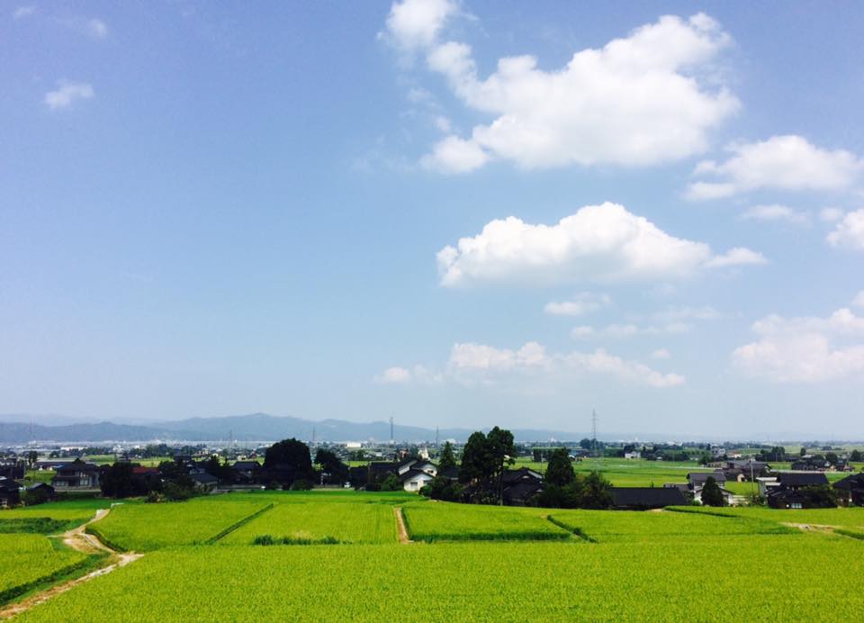 日本の夏風景