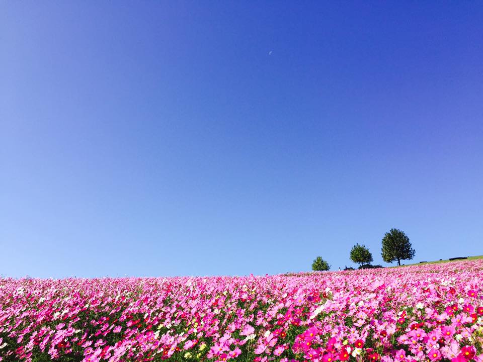 休日の楽しみ方