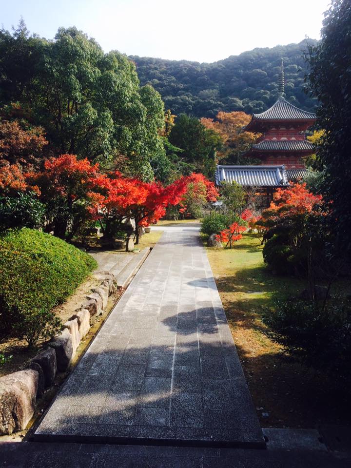 神戸市西区 国宝 太山寺