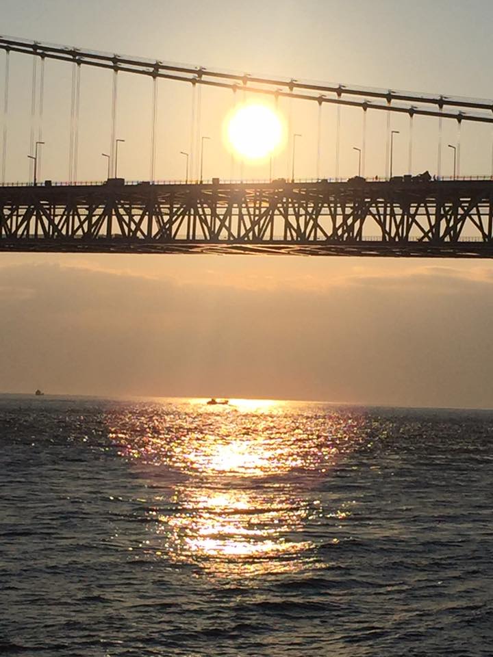 Kobe INK物語No.25垂水アプリコット