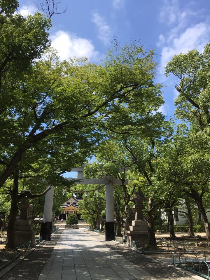 湊川神社にてライムグリーン