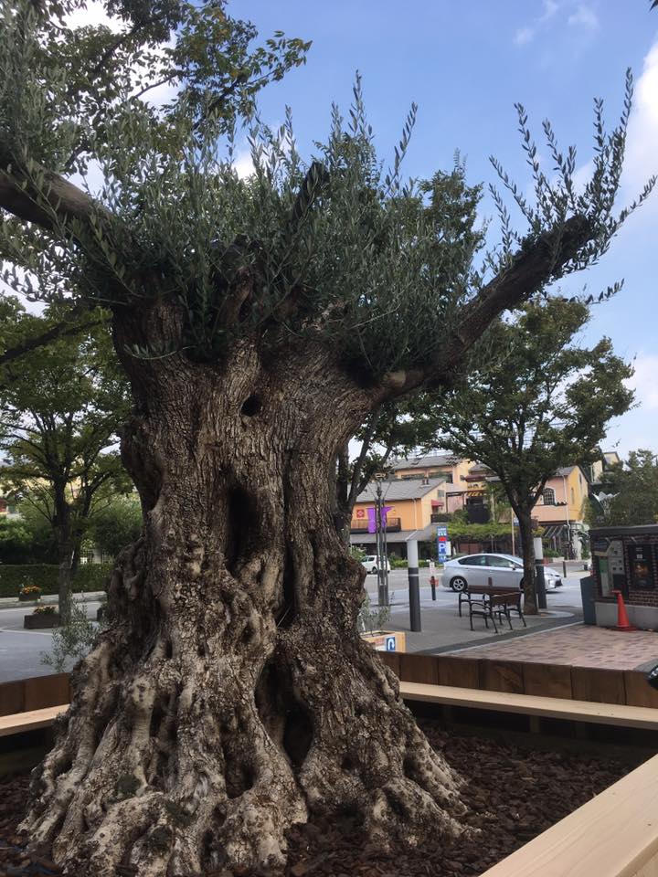 神戸煉瓦倉庫オリーブ広場出現