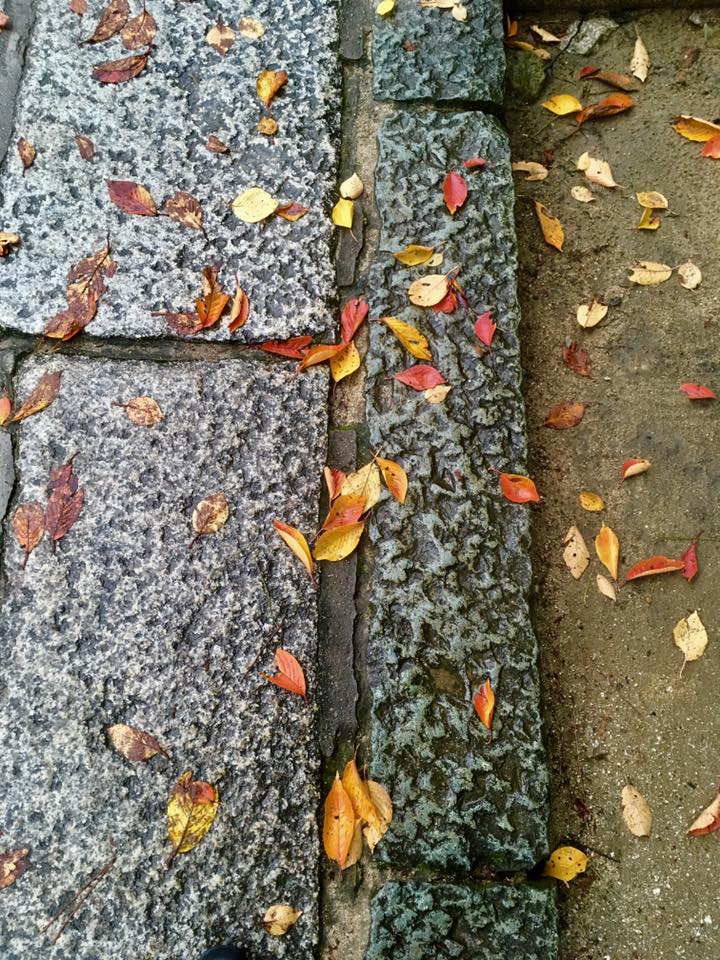 神戸御影界隈 散策