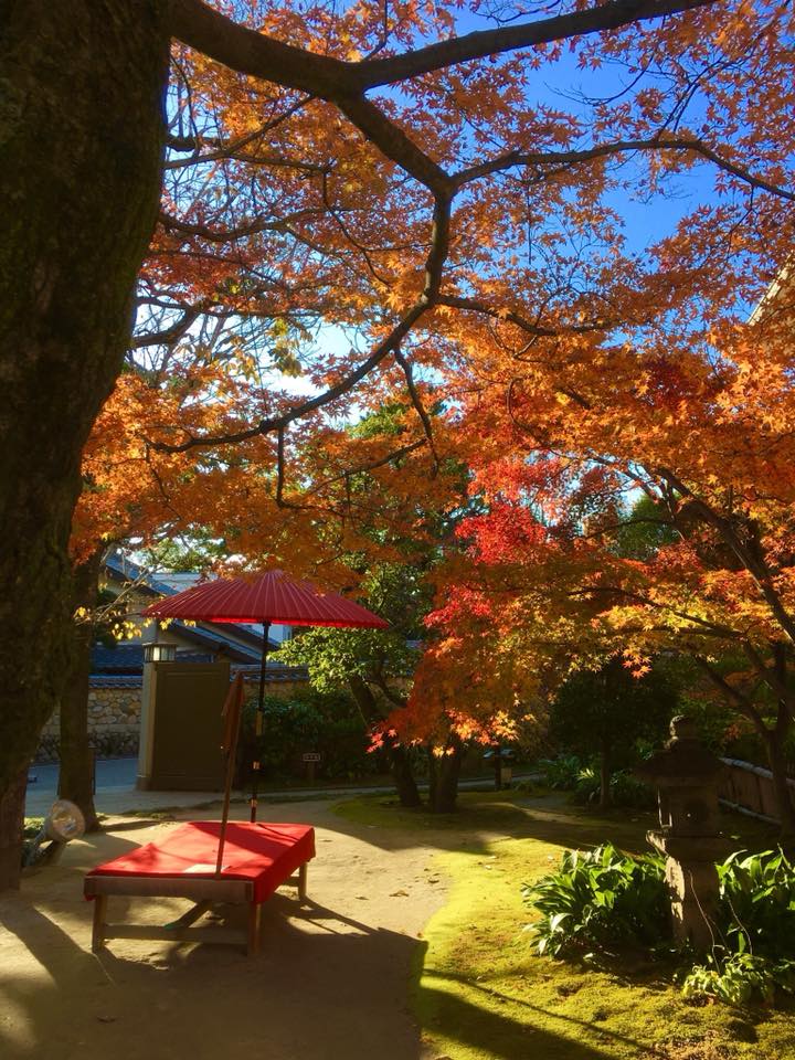 香雪美術館、利休と剣仲へ