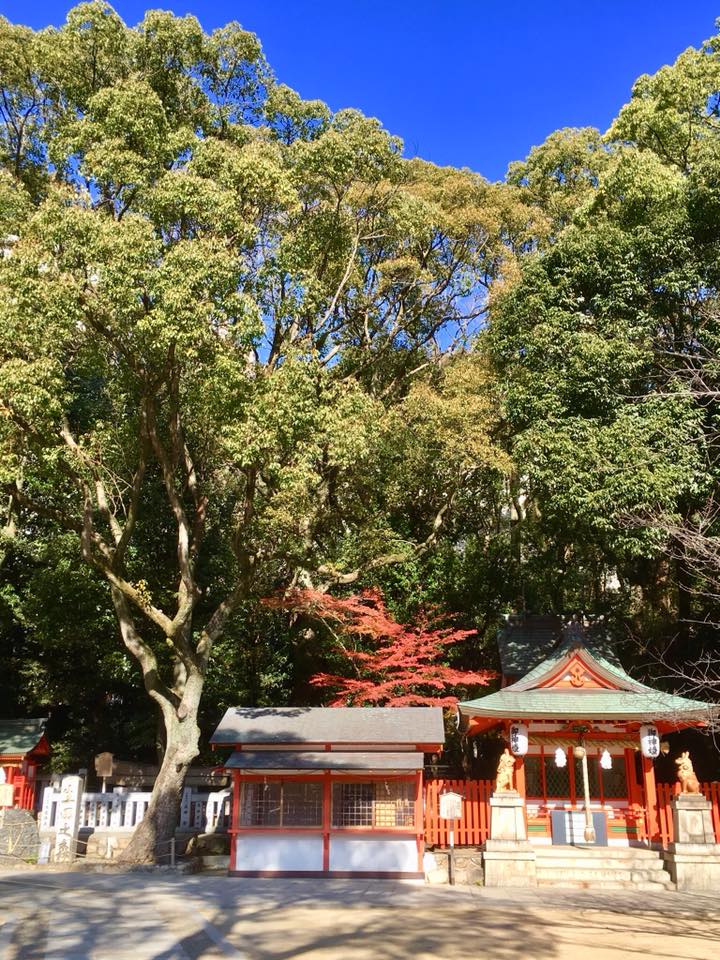 生田の森と神社