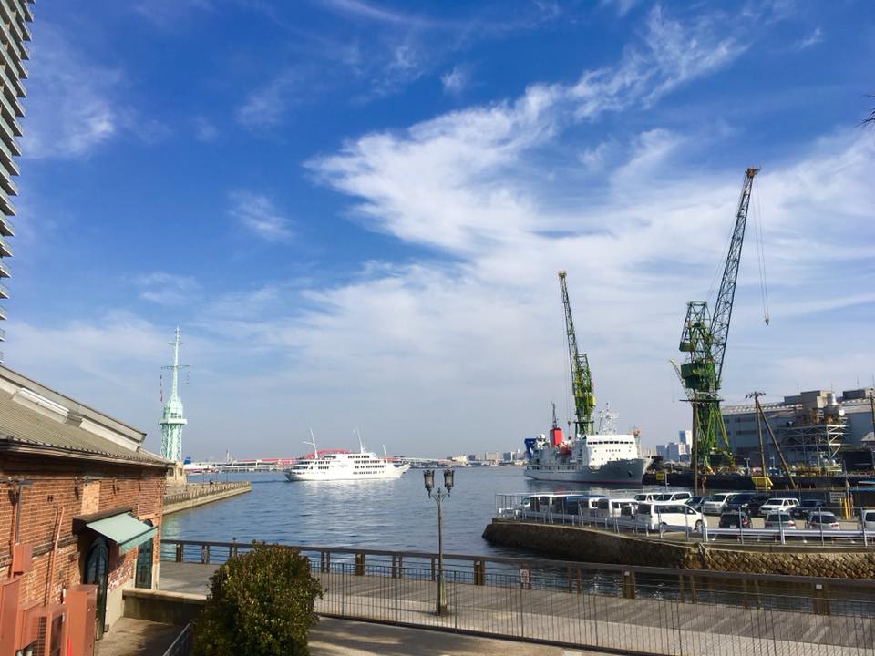 神戸煉瓦倉庫とオトメツバキ