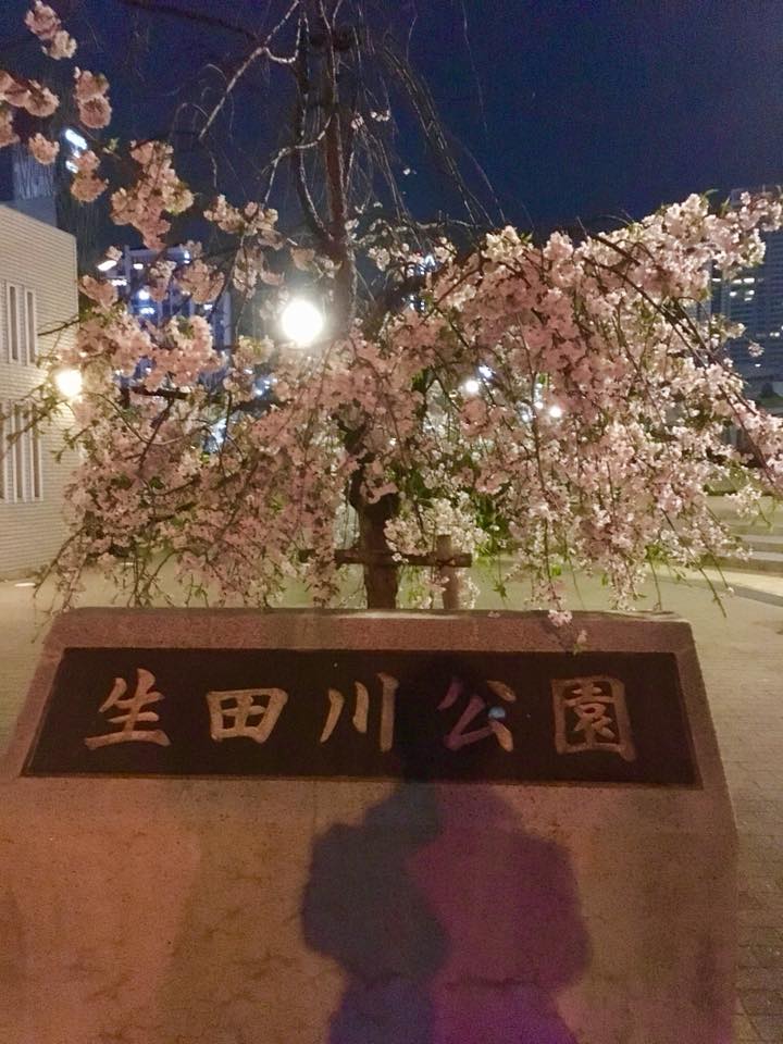 生田川公園にて