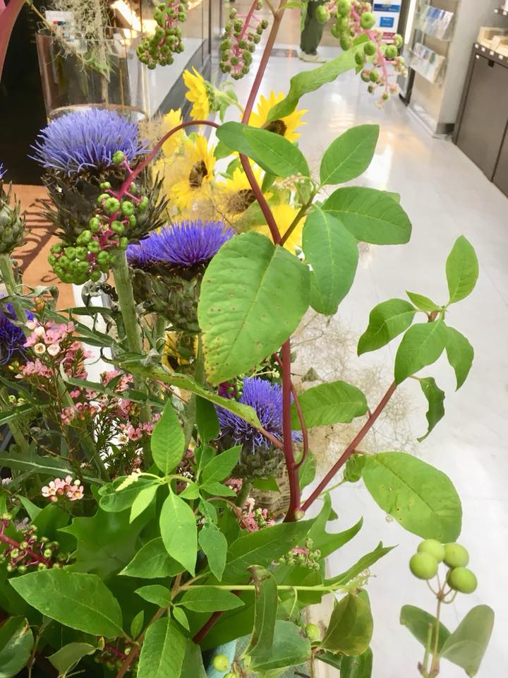 草花のウインドーディスプレイ