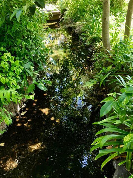 Kobe INK 69集 菊水ビオトープ