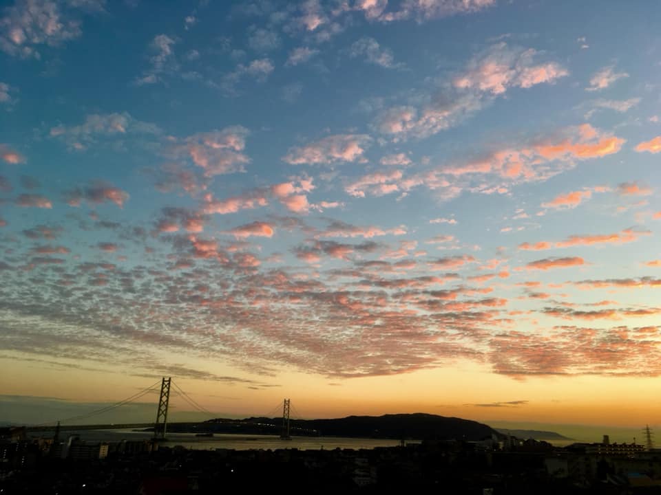 久々に垂水アプリコット観賞