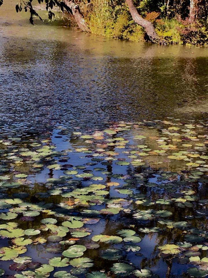 Kobe INK物語の70集 準備中