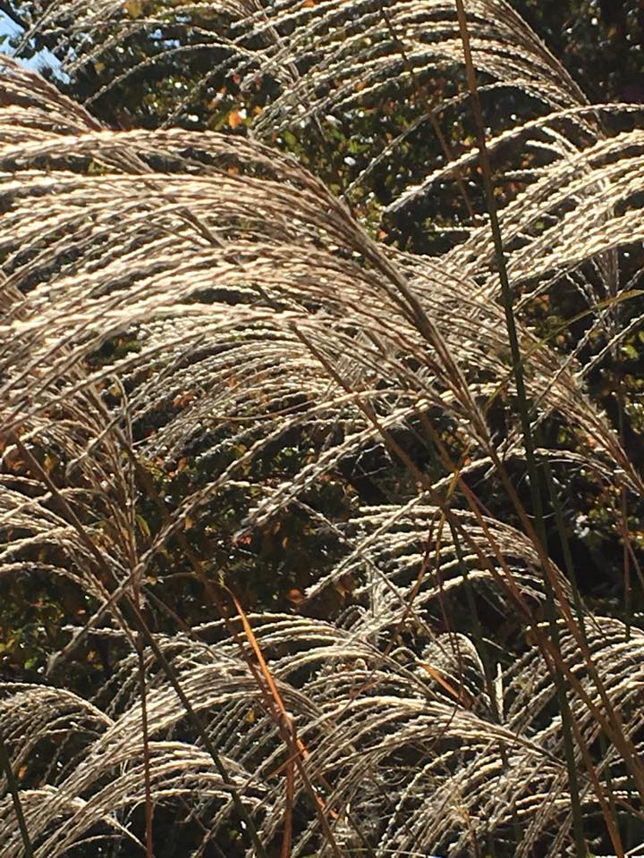 四季を感じる時に