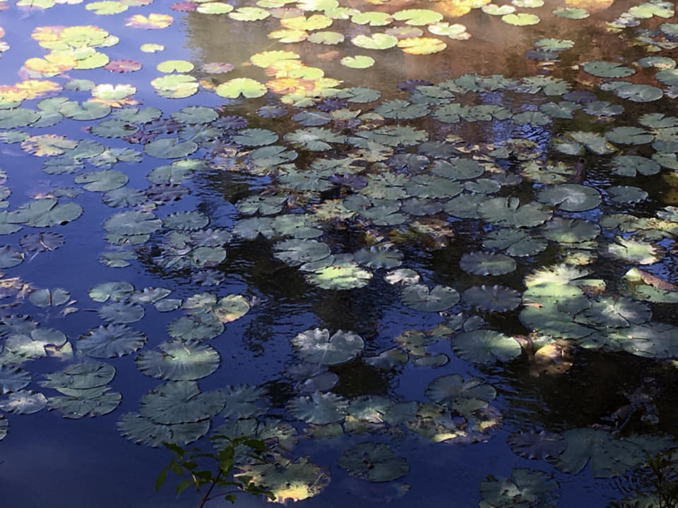 2018 万年筆サミットご案内