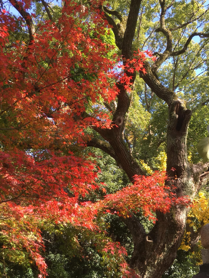 生田神社