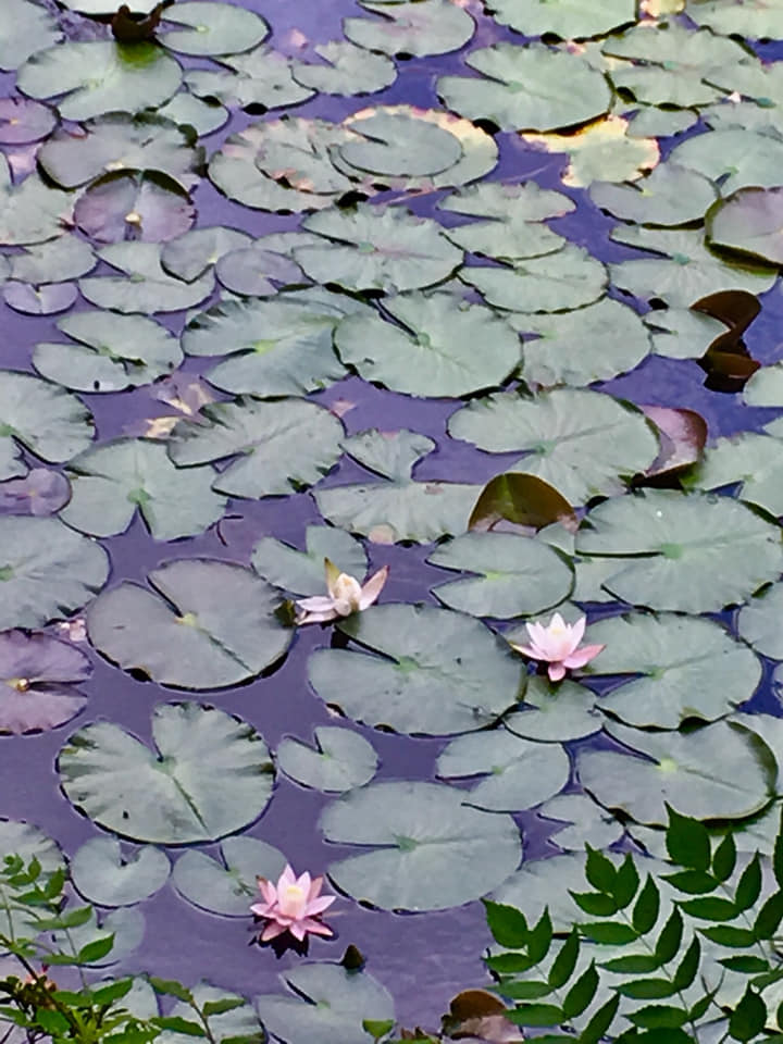 Kobe INK物語 70色目の作品