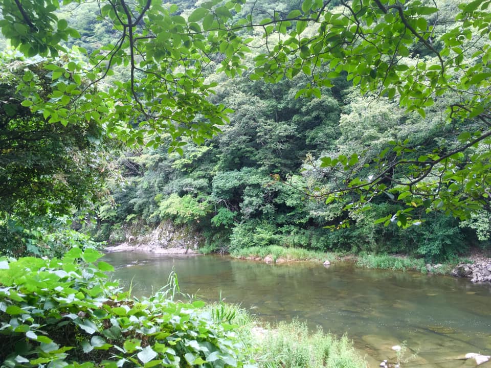 2019 Kobe INK物語 新色準備