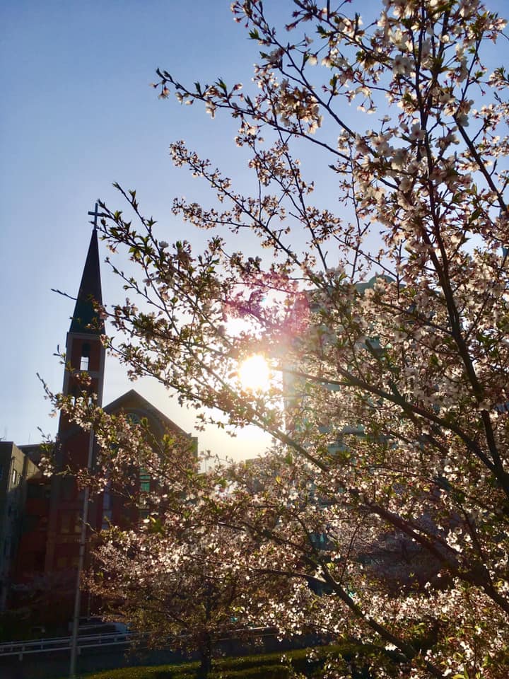 2019 Kobe INK物語 新色準備