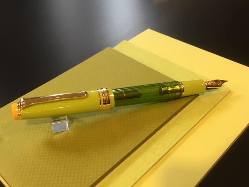 Canola flower ・菜の花デビュー