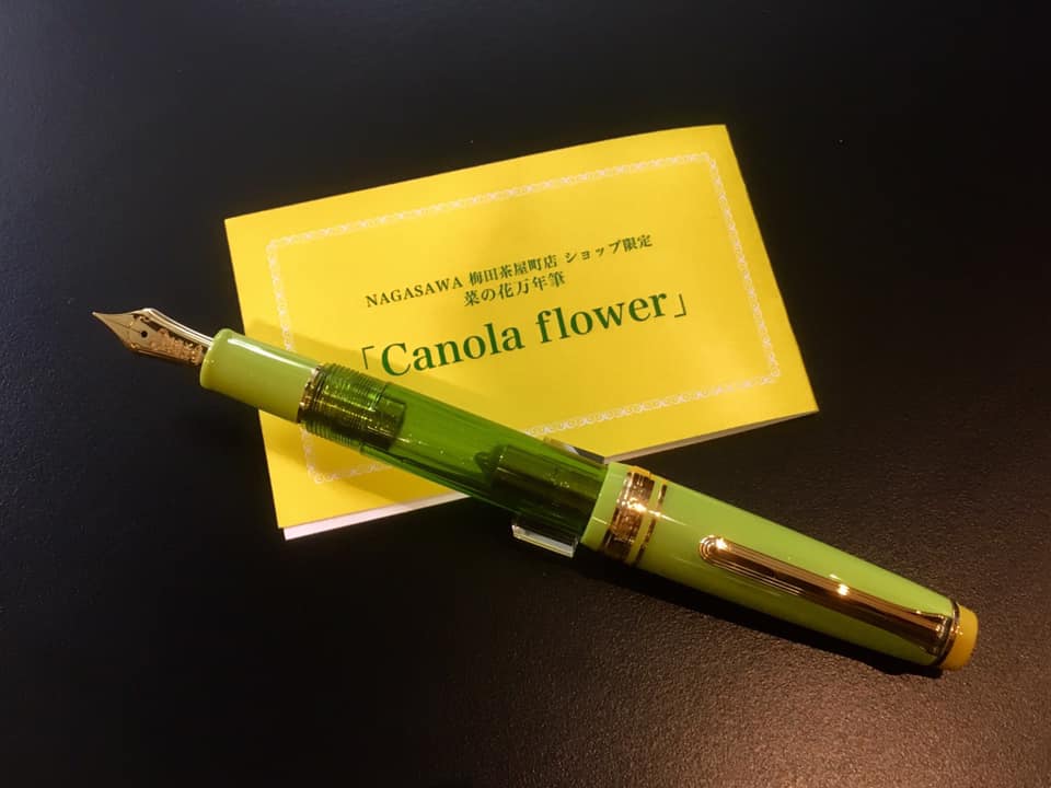 Canola flower ・菜の花デビュー