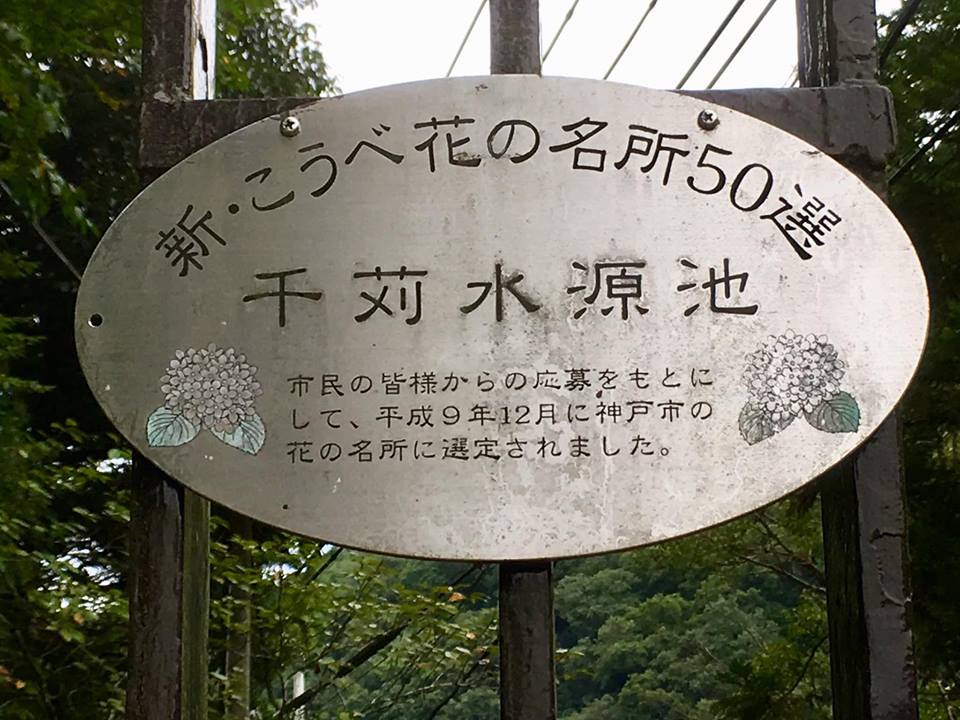 千苅ウォーターブルー