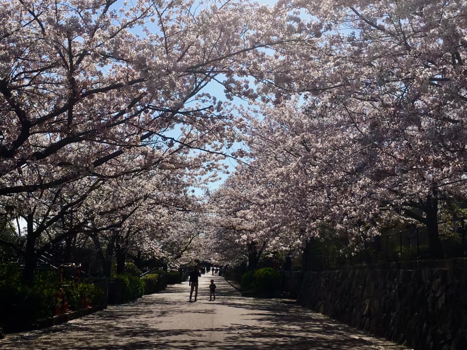 王子公園と旧ハンター住宅