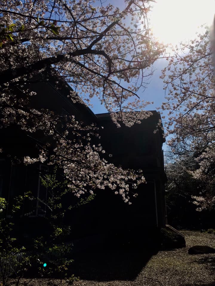 王子公園と旧ハンター住宅