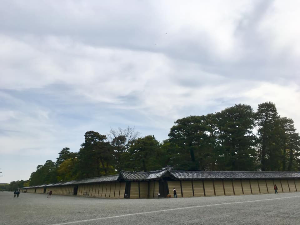 京都御苑のしだれ桜