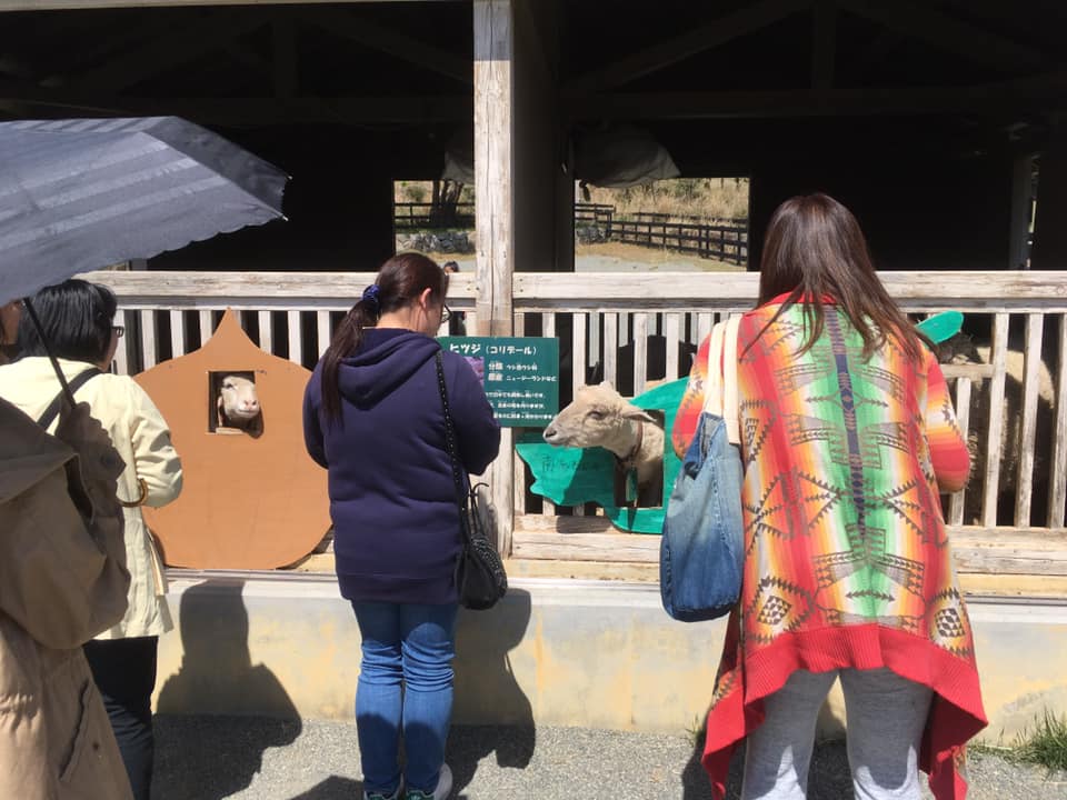 淡路島イングランドの丘 散歩へ