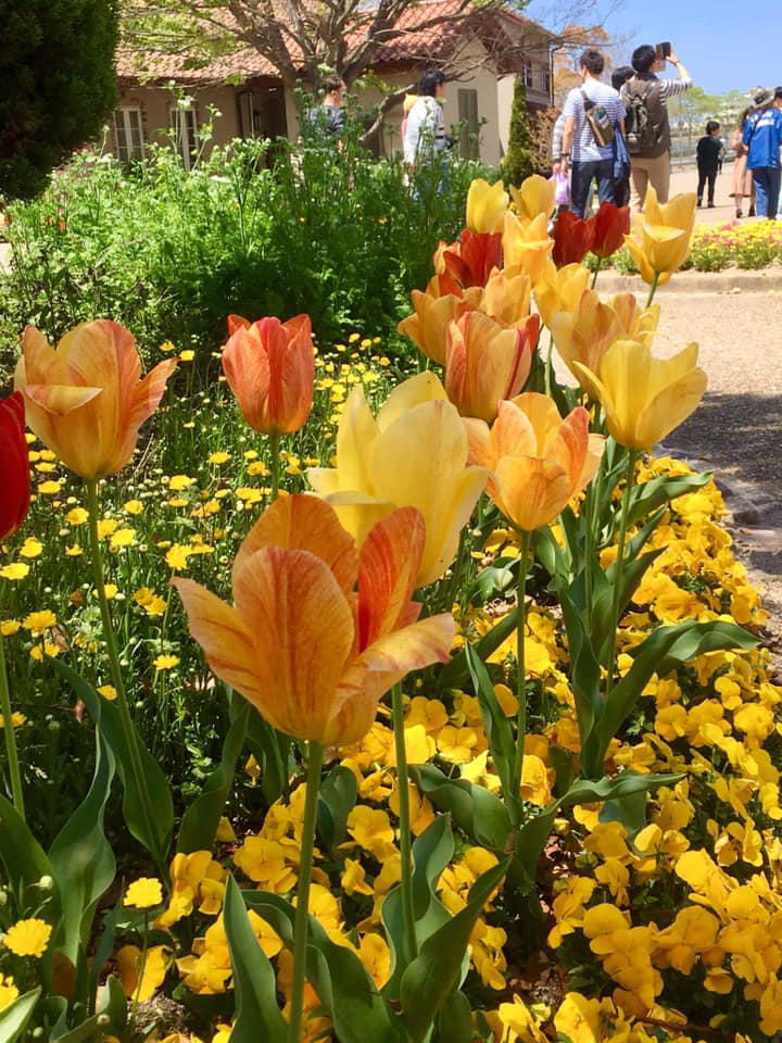 淡路島社員研修にて