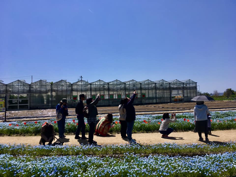 淡路島イングランドの丘 散歩へ