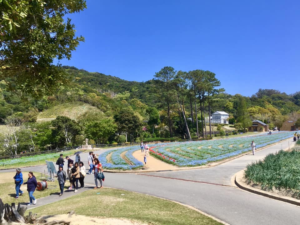 淡路島イングランドの丘 散歩へ