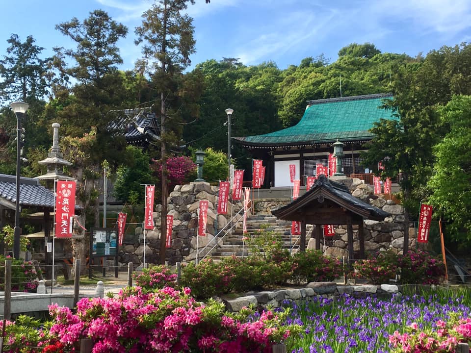 吉祥山 多聞寺カキツバタ見頃
