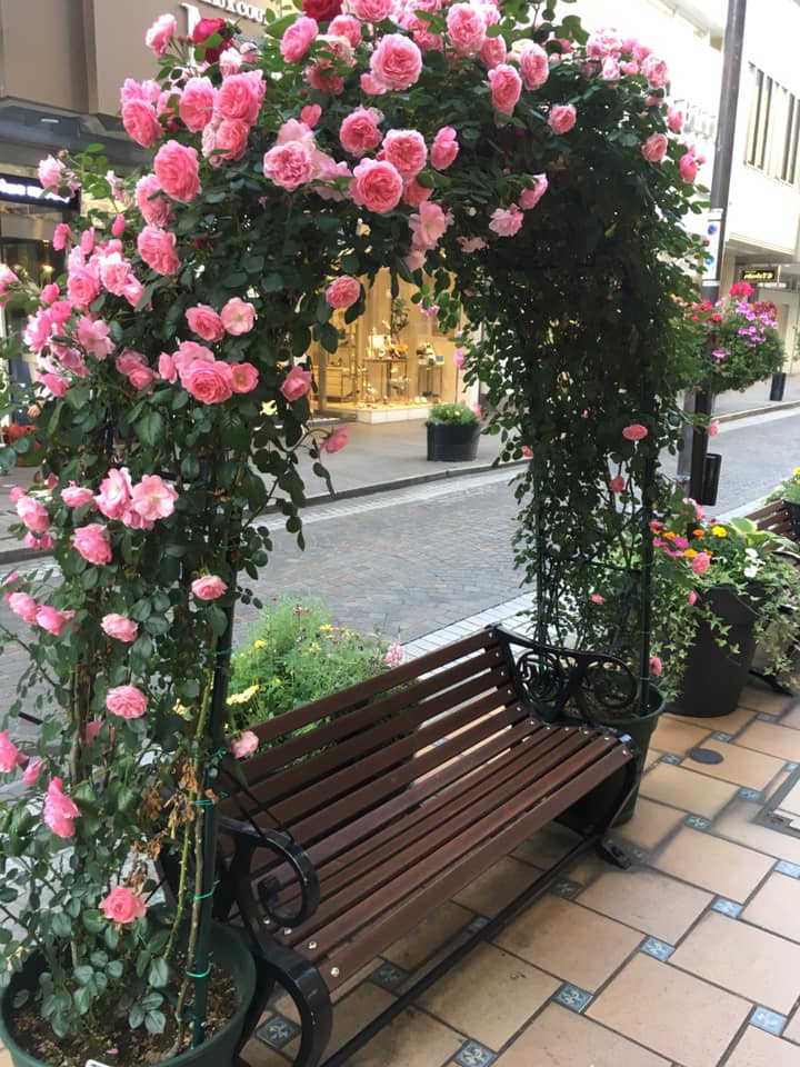 横浜 元町通＆中華街