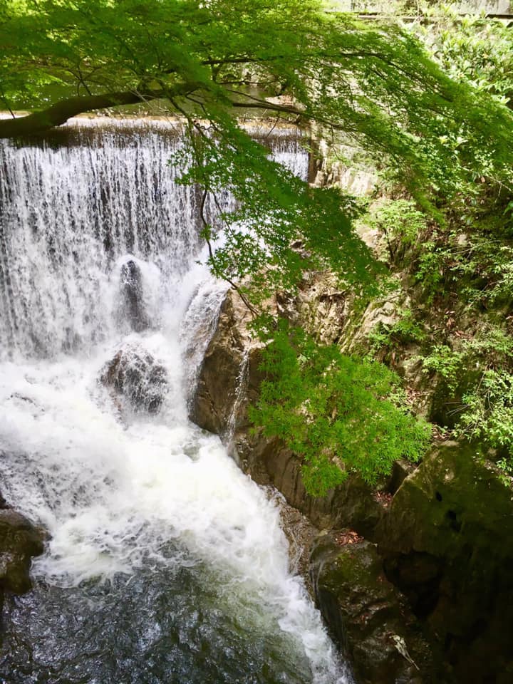 新緑の布引渓流