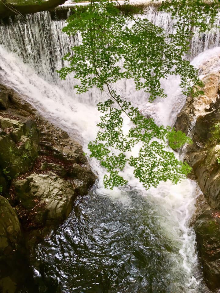 新緑の布引渓流