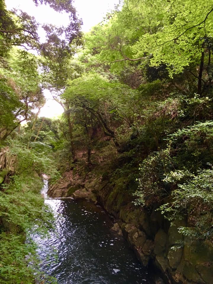 新緑の布引渓流