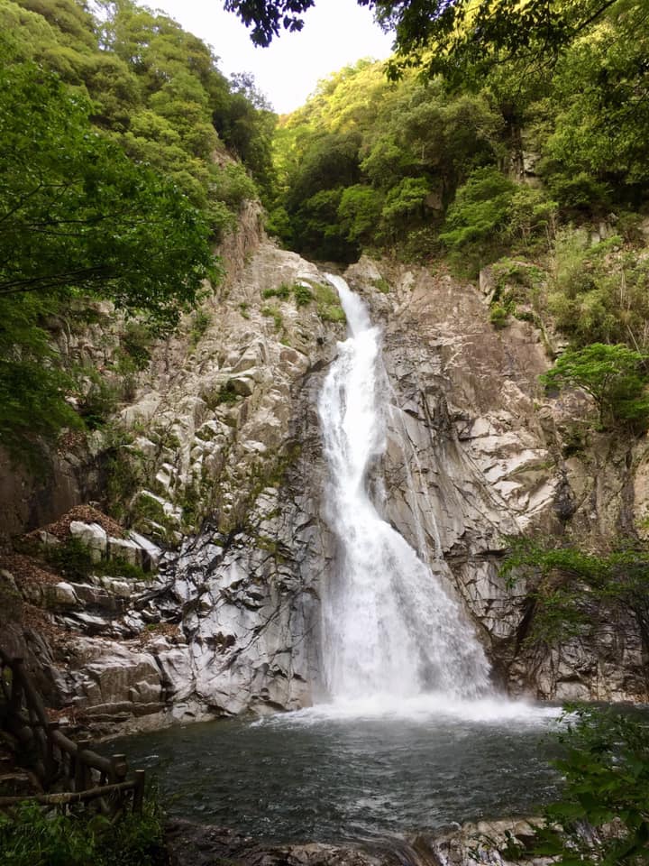 新緑の布引渓流