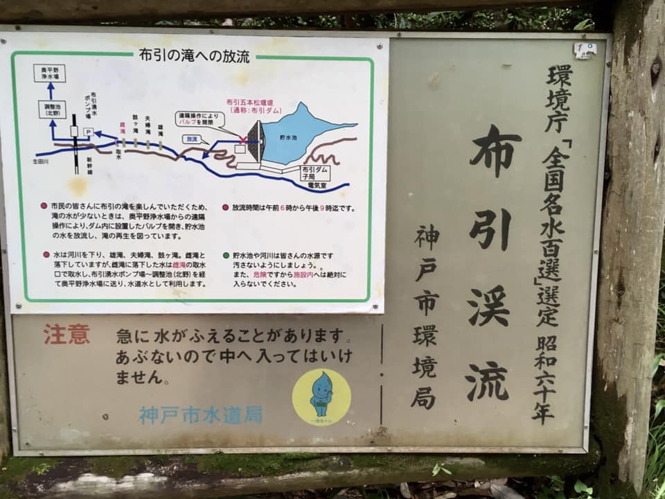 新緑の布引渓流