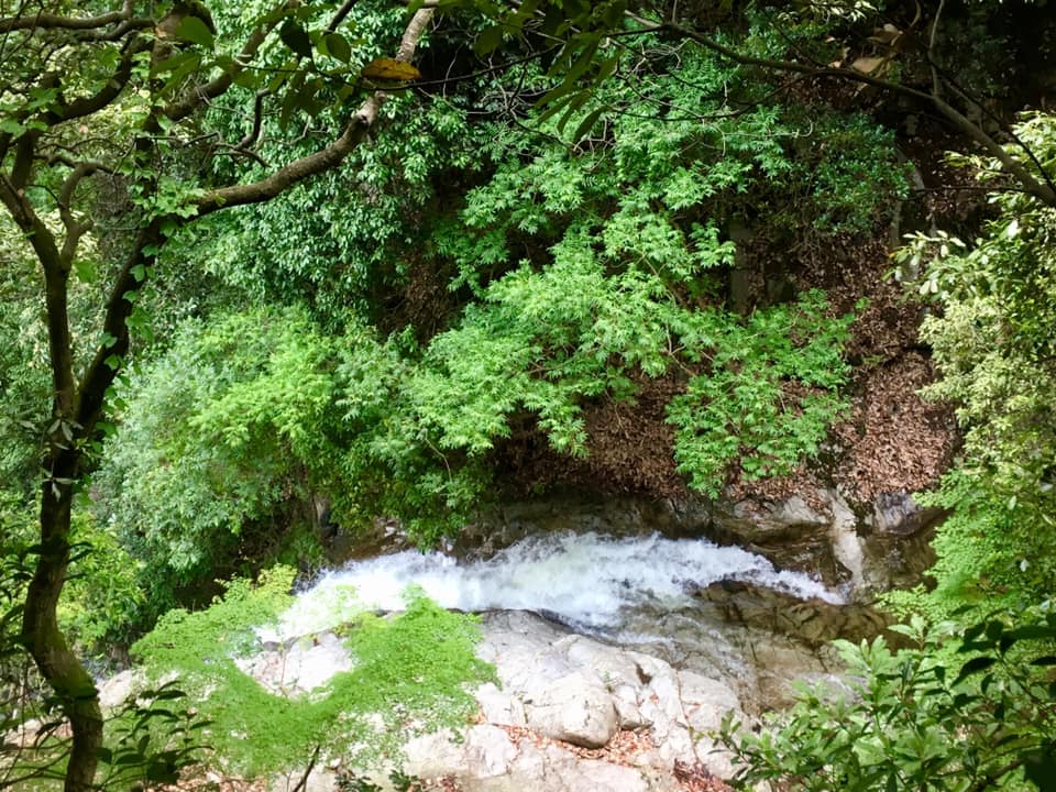 新緑の布引渓流