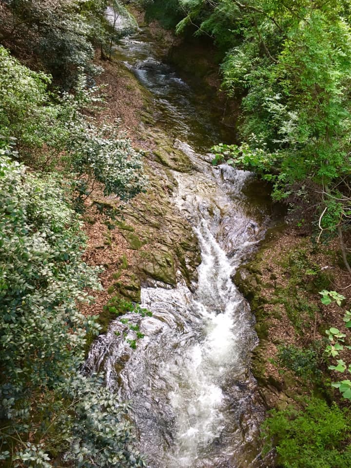 新緑の布引渓流
