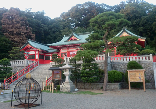 短冊に願いをこめて