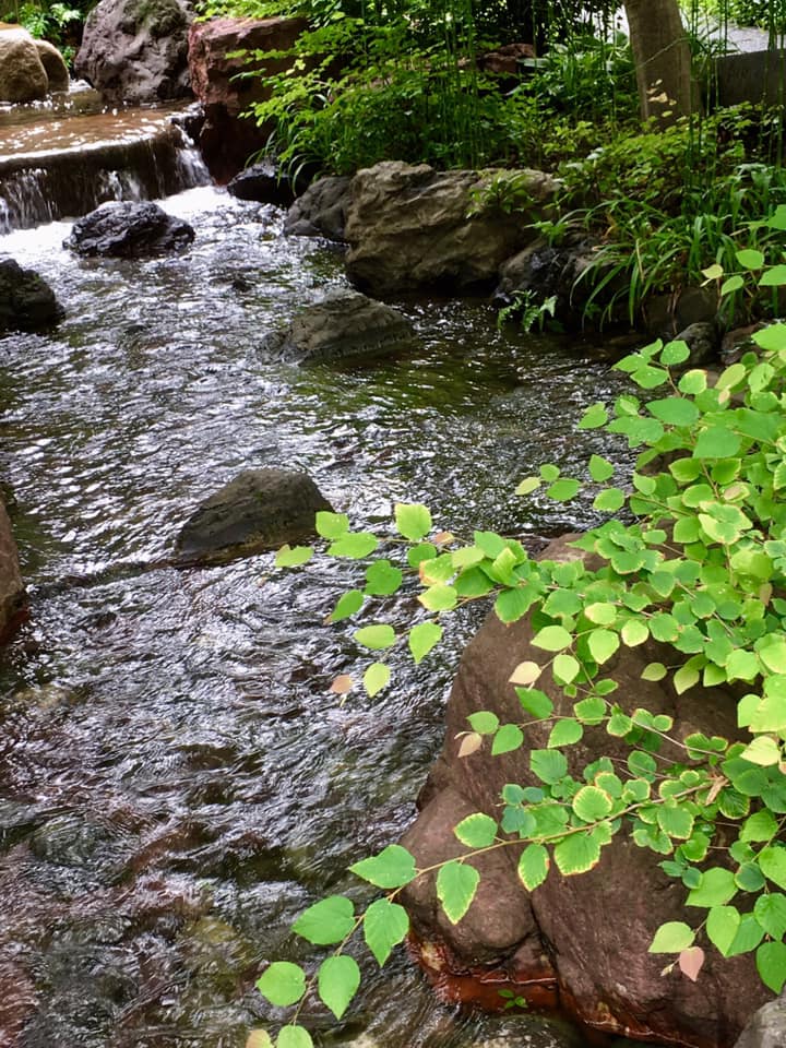 岡本太郎氏と午後の日を過ごす