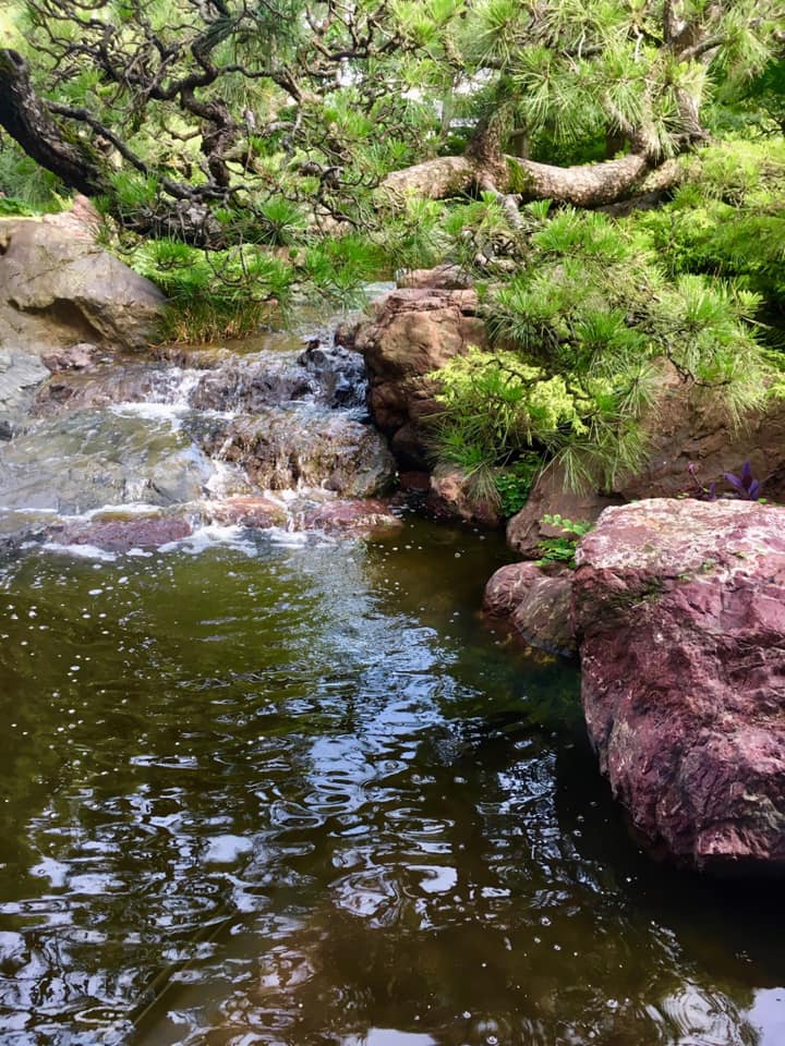 岡本太郎氏と午後の日を過ごす